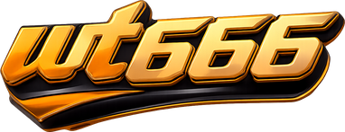 wt666